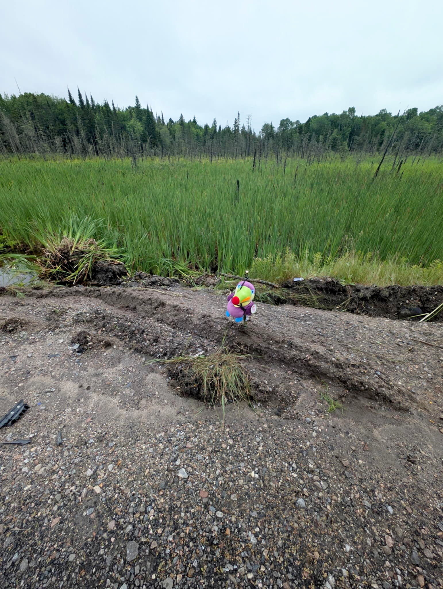 Rose Renault Scene of the collision in Lac-Saguay, in the Laurentians. his daughter killed collision:
